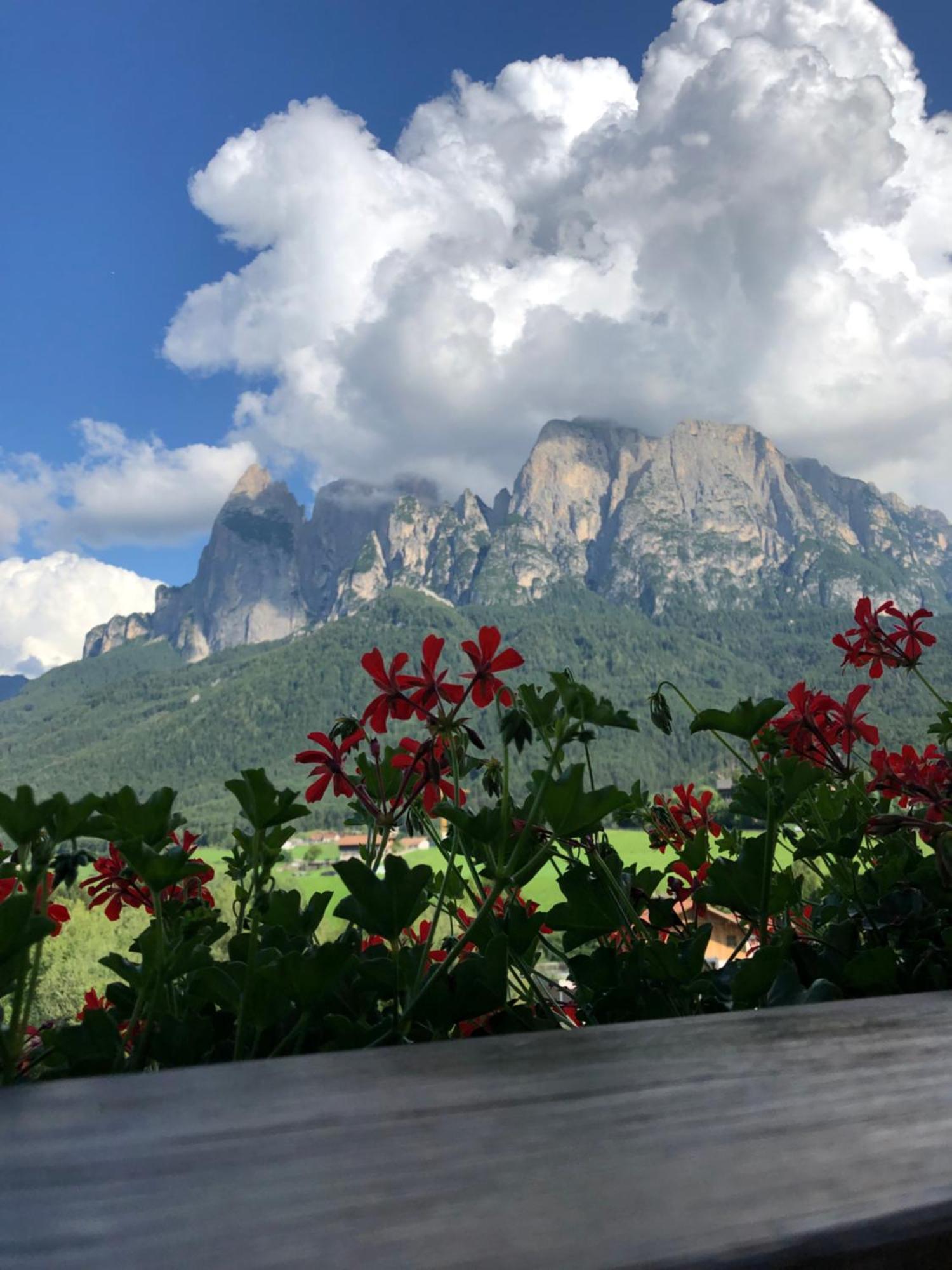 Mesnerhof My Paradise Fiè Εξωτερικό φωτογραφία