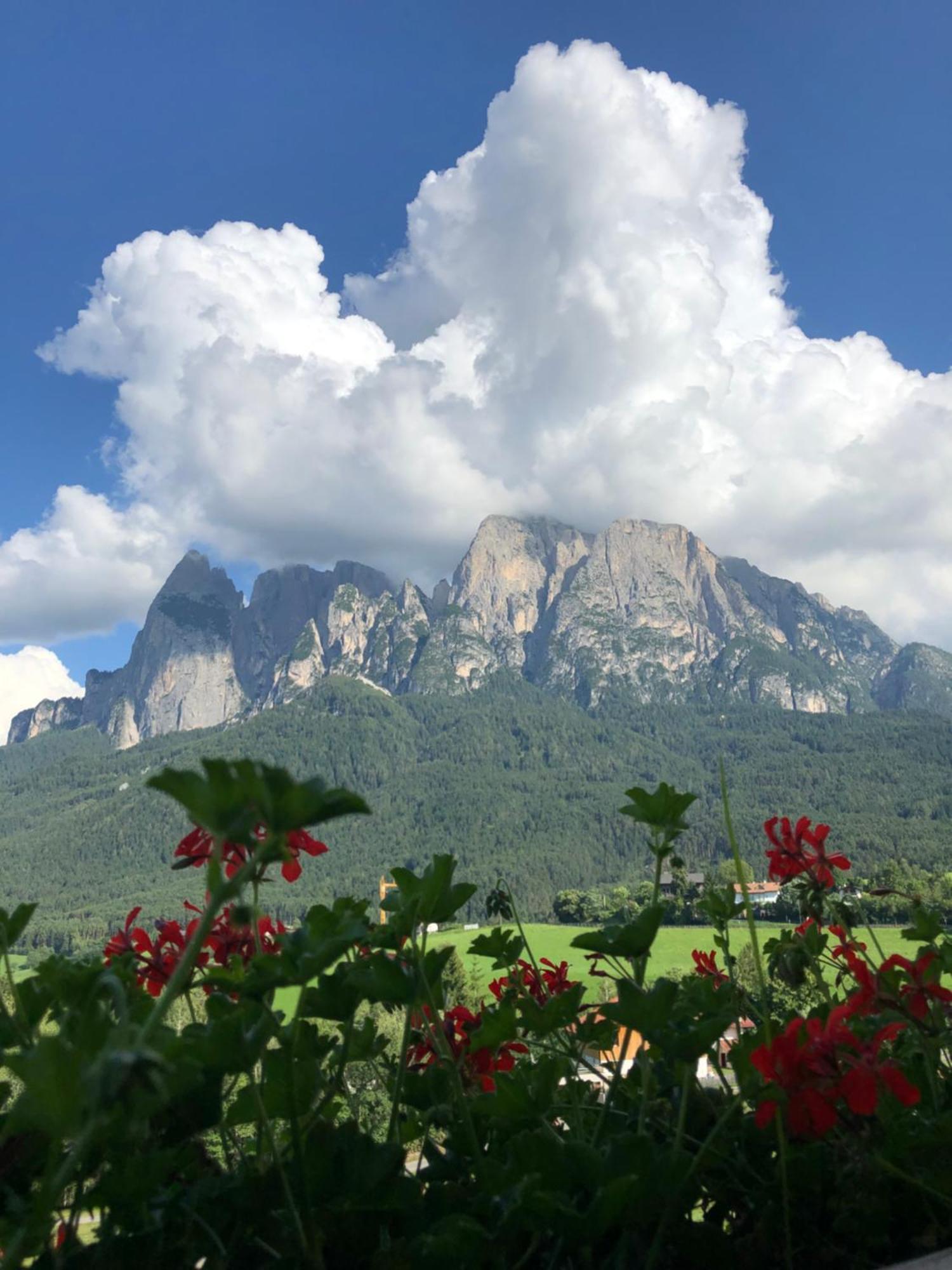 Mesnerhof My Paradise Fiè Εξωτερικό φωτογραφία