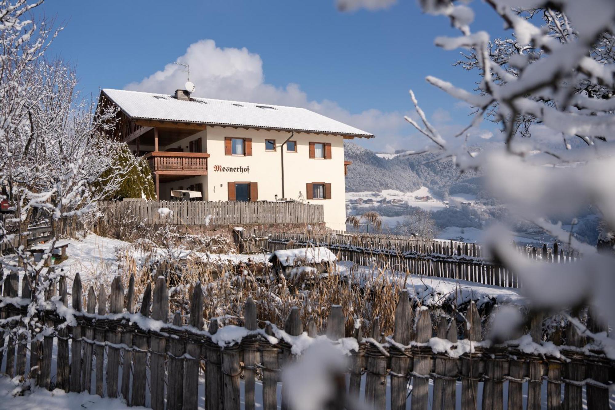 Mesnerhof My Paradise Fiè Εξωτερικό φωτογραφία